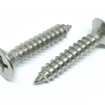 60×8 Screw SS